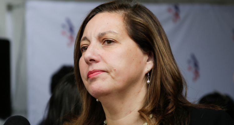 vodanovic candidatura bachelet