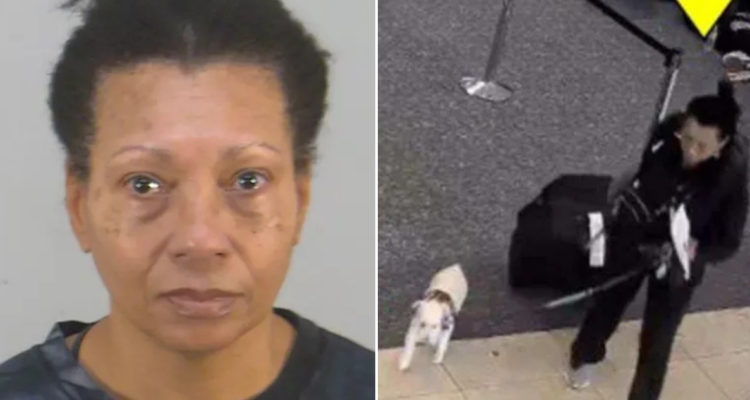 Caso de Alison Agatha Lawrence