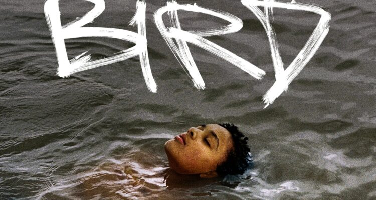 Bird, Centro Arte Alameda Distribución