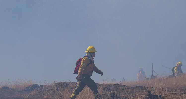 Brigadista por Alerta Roja en Paillaco