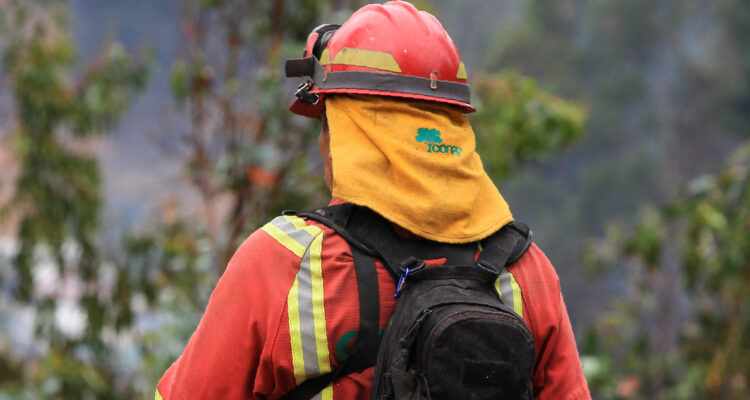 Brigadistas de Conaf siguen combatiendo incendio en Alto Bío Bío: clima y topografía son un desafío