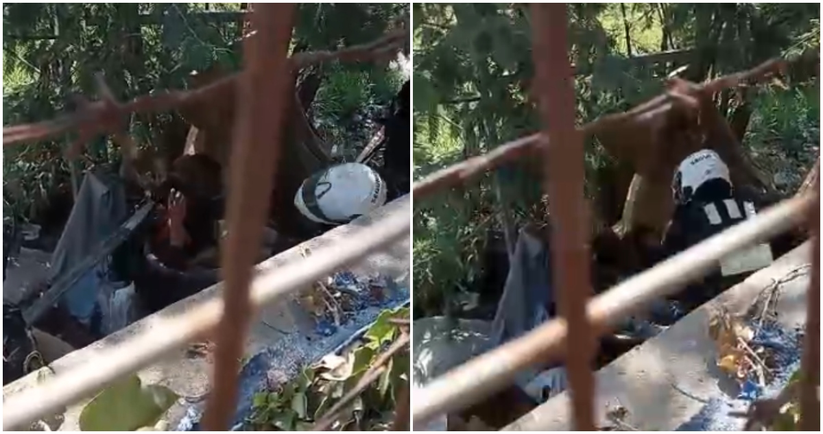 Hombre es brutalmente golpeado por guardias municipales de Viña del Mar