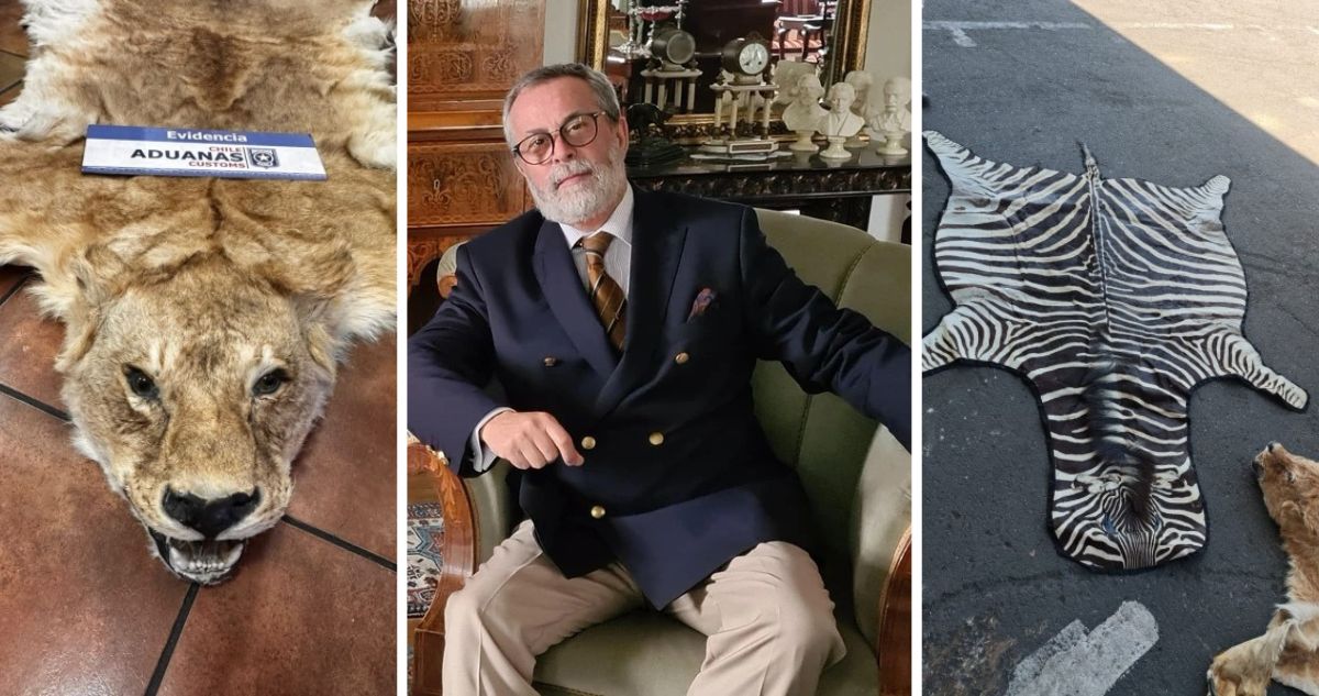 Quien es Camilo Sanhueza: ex embajador chileno en Hungría acusado de contrabandear pieles de animales disecados en San Antonio.