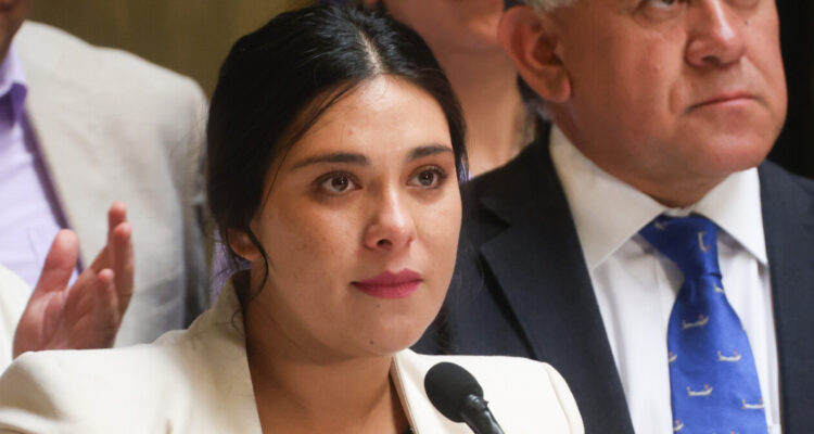 Empresario chino es dueño de departamento que arrienda diputada Cariola