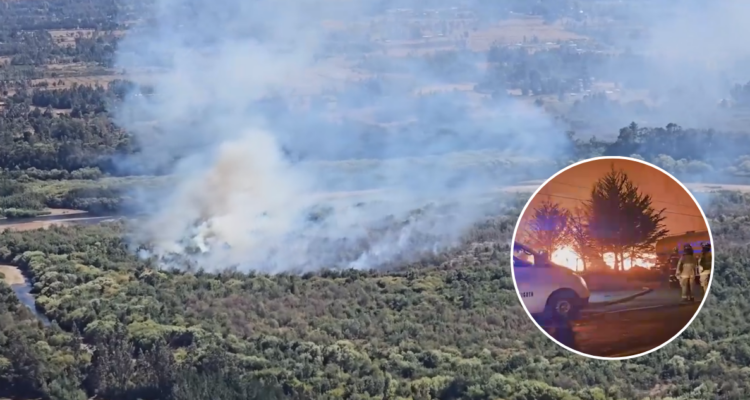 Aumentan a 19 las viviendas destruidas por incendios forestales en Traiguén