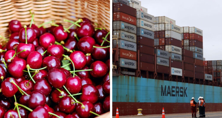 Couleur | Pixabay | Sócrates Orellana | Agencia UNO