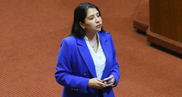 comisión de ética diputada veloso