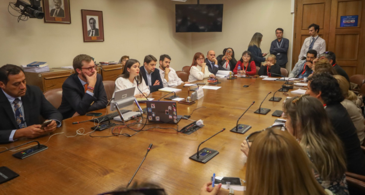 comisión megaincendio