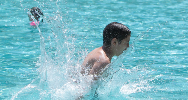 Preguntamos a la Comunidad Bío Bío cuáles fueron sus anécdotas “chistosas” del verano 2025,