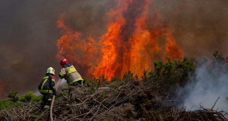 Bomberos combatiendo incendios