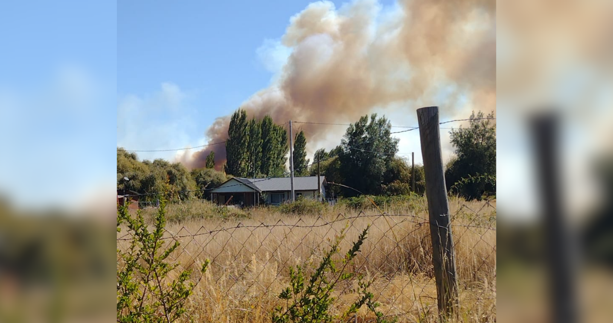 controlan-incendio-forestal-que-afecto-a-20-hectareas-en-los-angeles-destruyo-una-bodega.png