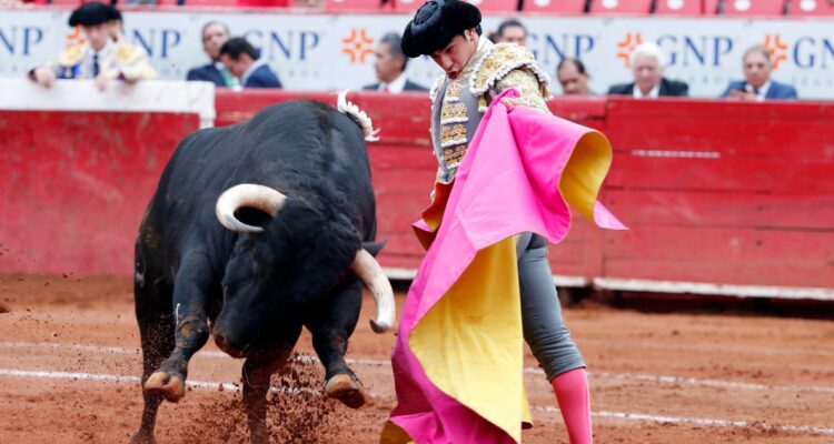 Corridas de toro sin sangre: México aprueba histórica ley que reformula la tauromaquia