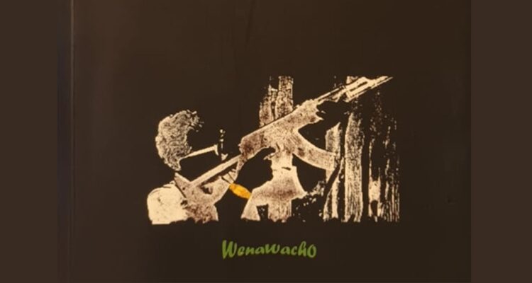 Detalle de la portada de El misterio del maletín del almirante, de Ricardo Candia. WenaWacho Ediciones.