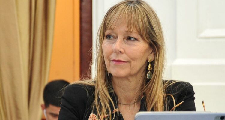Megacorte: diputada Gazmuri pide avanzar hacia una Empresa Nacional Eléctrica y cuestiona rol del CEN