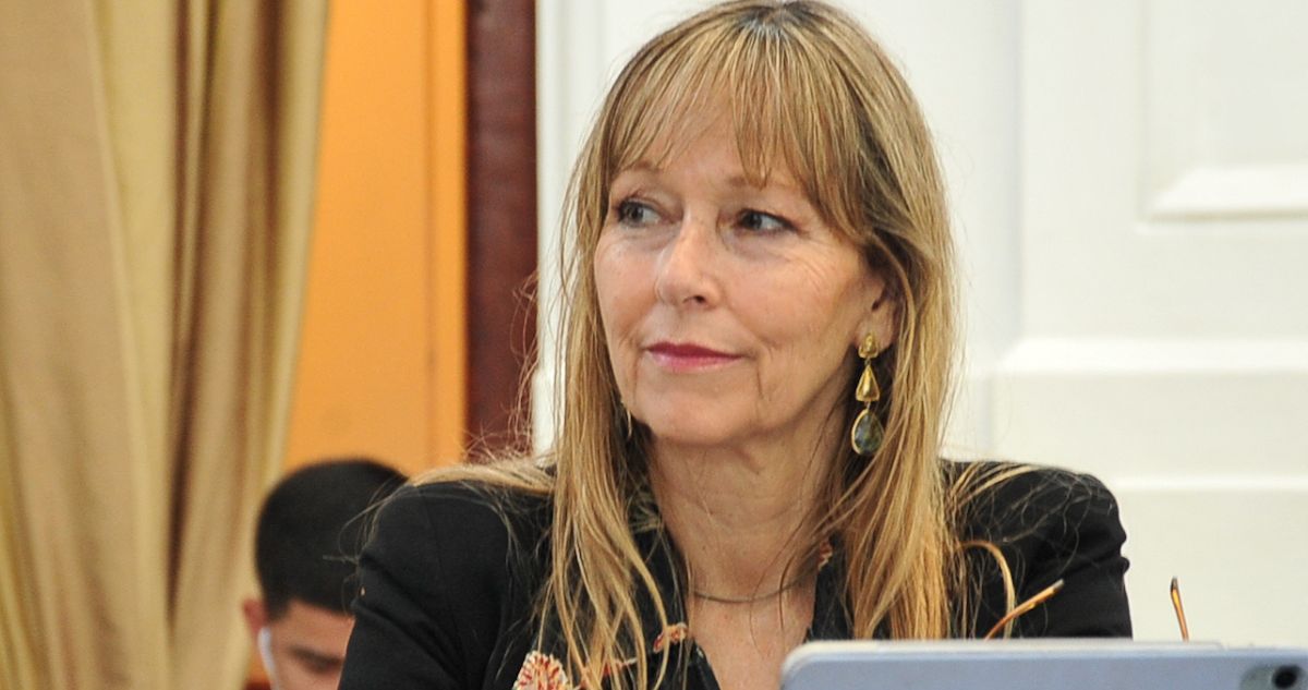 Megacorte: diputada Gazmuri pide avanzar hacia una Empresa Nacional Eléctrica y cuestiona rol del CEN