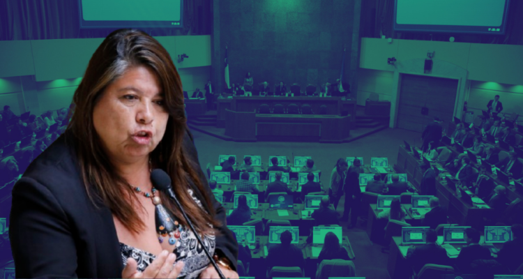 diputada mix mesa cámara