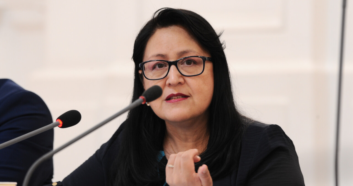 Comisión por Caso Monsalve: Dorothy Pérez reconoce “hallazgos” en la indagatoria por gastos reservados