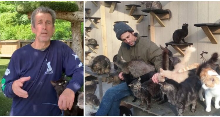 Dueño de santuario de gatos muere en incendio tratando de rescatarlos: estiman un centenar de muertos