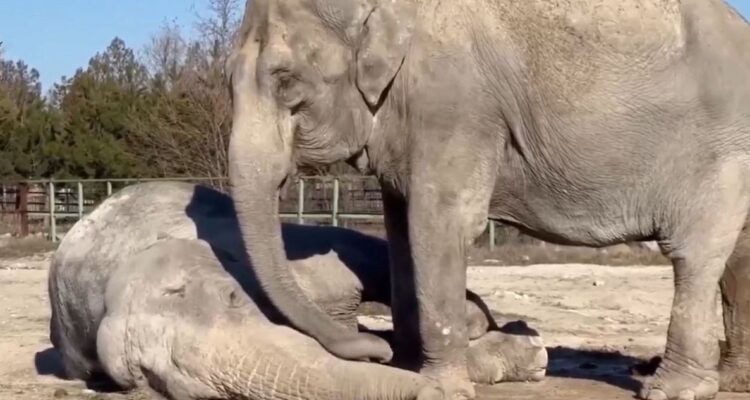 Daily Mail | Magda y Jenny