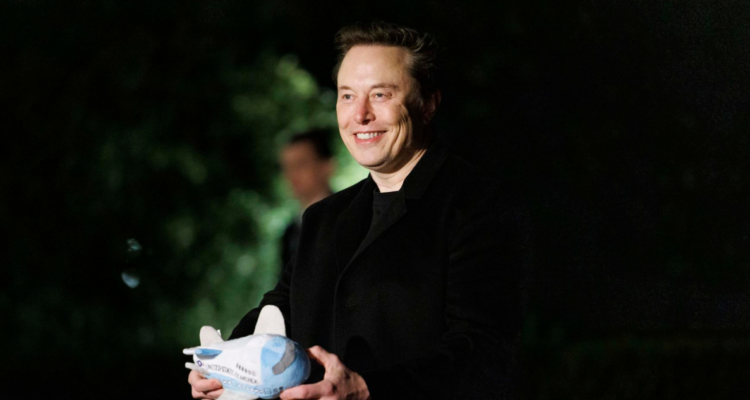 Los hijos de Elom Musk