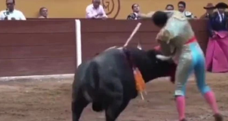 Torero queda en estado crítico tras brutal corneada en evento en México: sufrió por 20 segundos