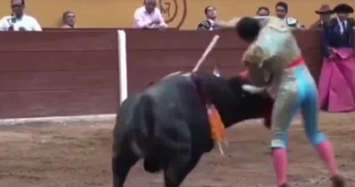 Corneada a Emilio Macías