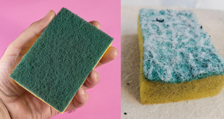 ¿Limpiarlas o reemplazarlas? Esponjas de cocina albergan bacterias y esto deberías hacer con ellas