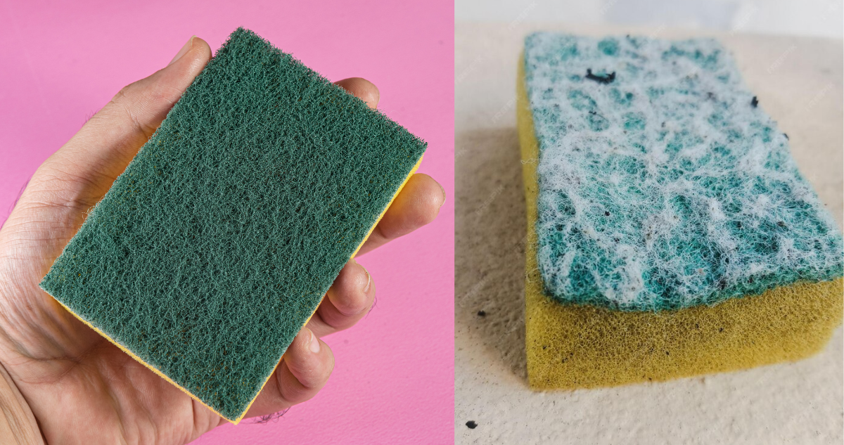 ¿Limpiarlas o reemplazarlas? Esponjas de cocina albergan bacterias y esto deberías hacer con ellas