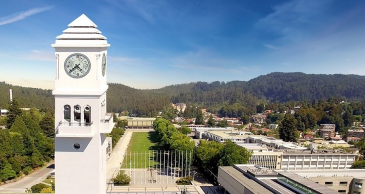 Resultados votación de reforma de estatus de la universidad de concepción dividió a la comunidad universitaria