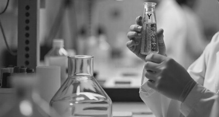 La extinción de los hombres y el cromosoma Y