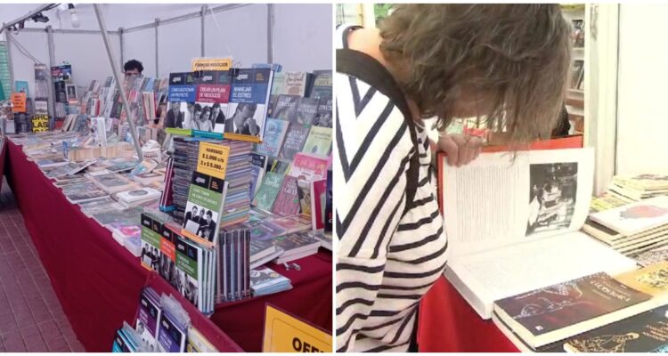 Sech desarrolla ciclo de ferias del libro en comunas de Santiago: próxima será en Estación Central