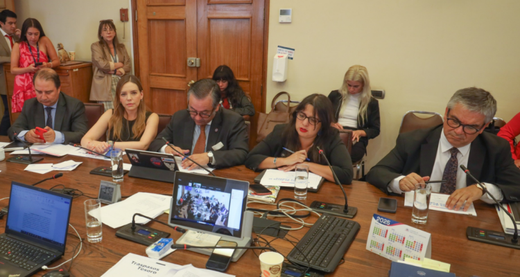 Flores (RN) emplaza a Hacienda por uso de recursos tras megaincendio: ¿Por qué no se ha reconstruido?