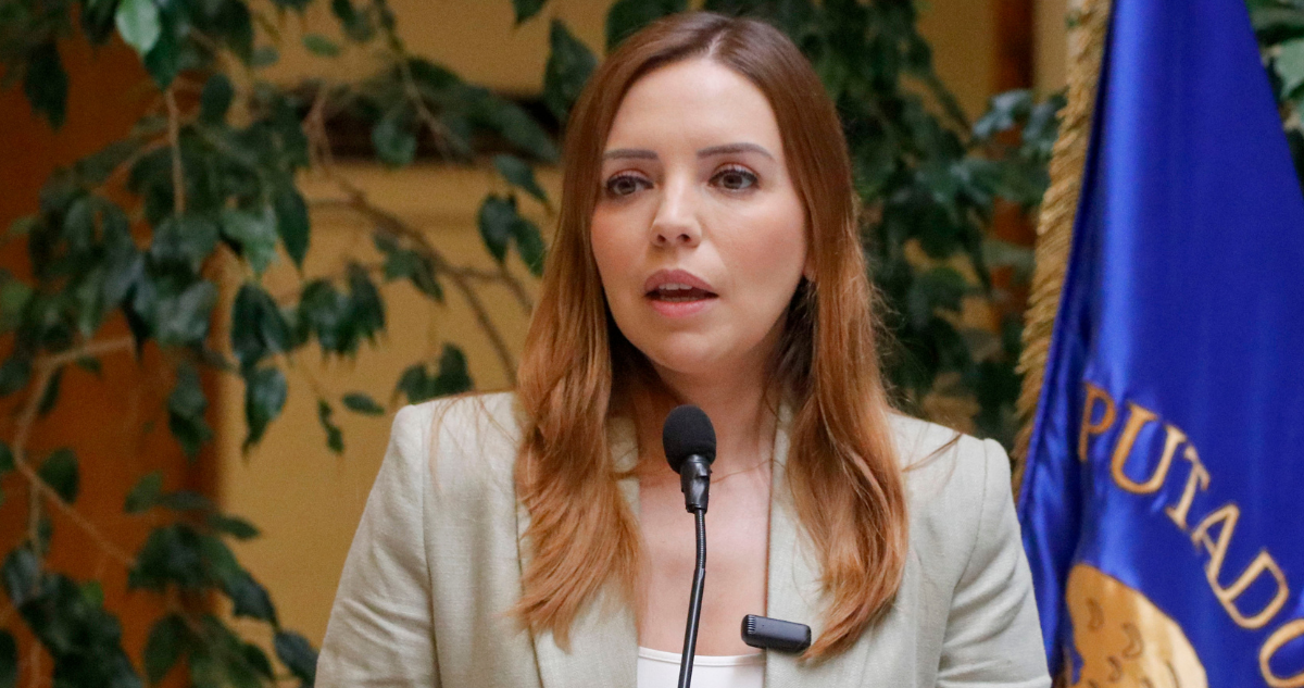 Flores (RN) respalda proyecto que agilizaría nuevas cárceles: “Elimina requisitos que no contribuyen”