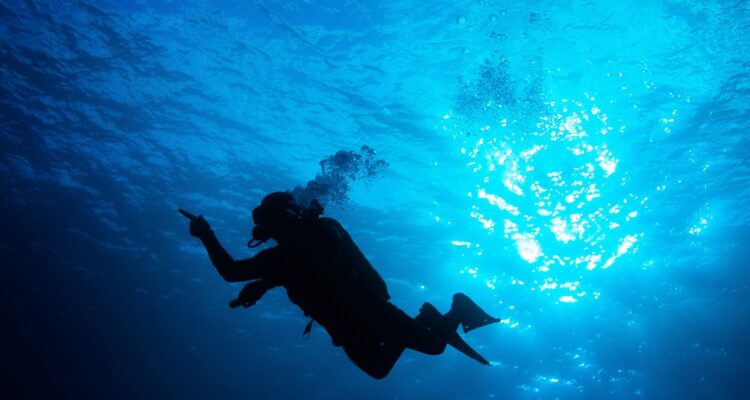 Henri, el último pirata de Julián Fernández Prieto, Market Chile