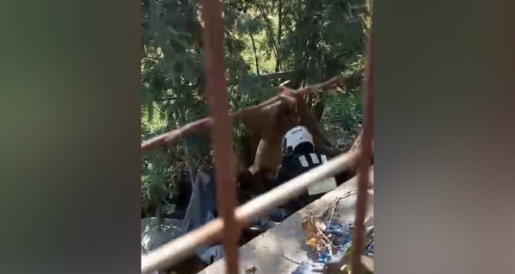 Hombre agredido por guardias municipales en Viña del Mar