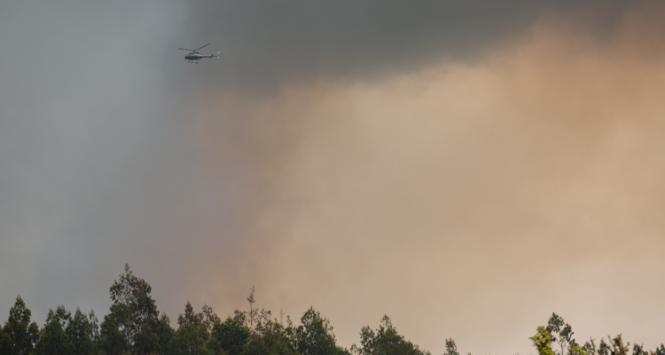 Incendio forestal en combate por Alerta Temprana Preventiva en La Araucanía