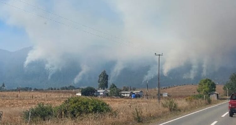 Continúa combate de incendio forestal en Lanalhue: se habrían generado 10 focos simultáneos