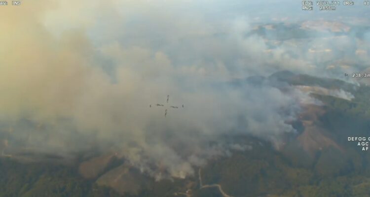 Incendio forestal en Santa Juana