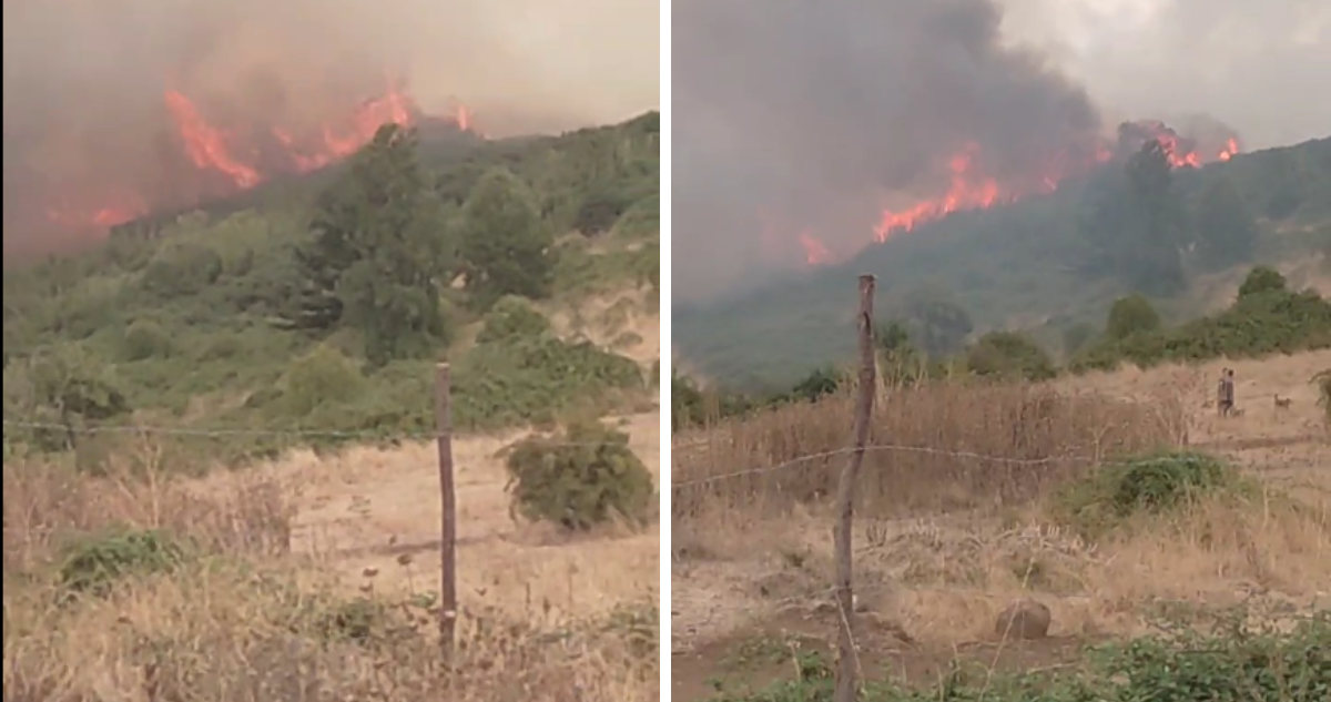 Incendio forestal en Victoria