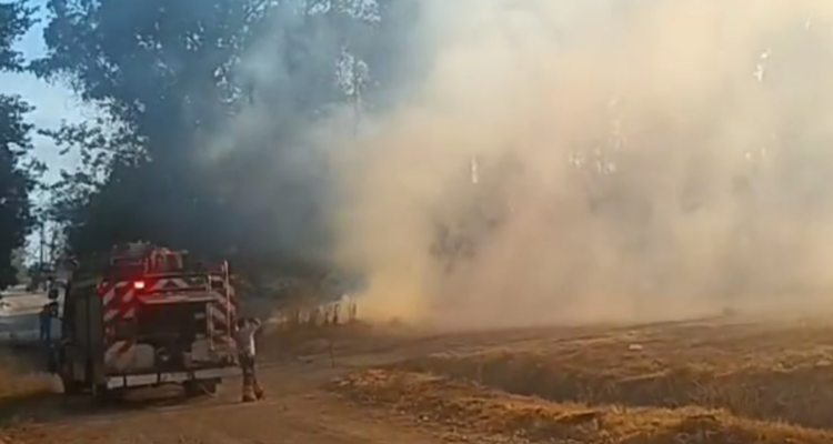 incendio jardin botánico universidad de talca