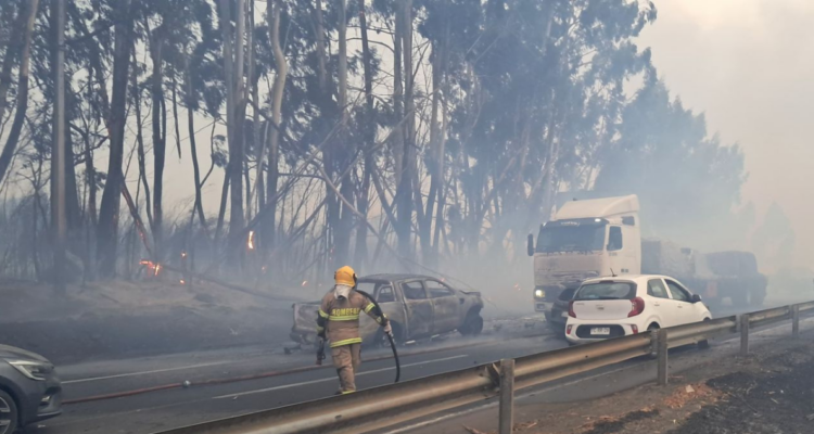 Cedidas a Radio Bío Bío 