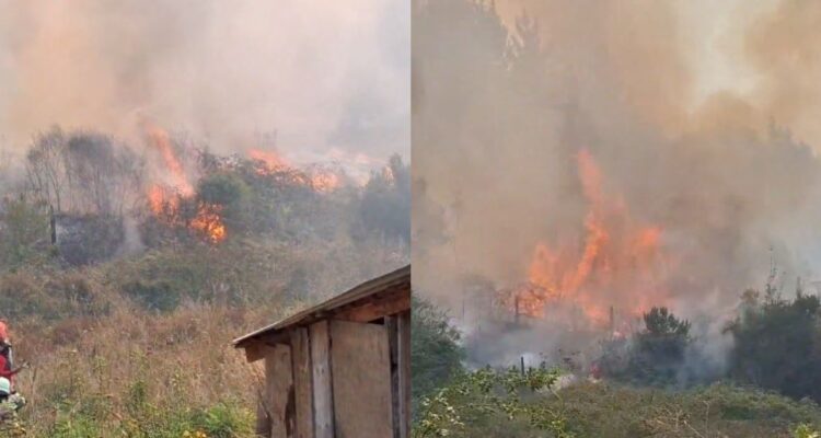 Declaran alerta regional en Bío Bío por al menos seis incendios forestales en combate