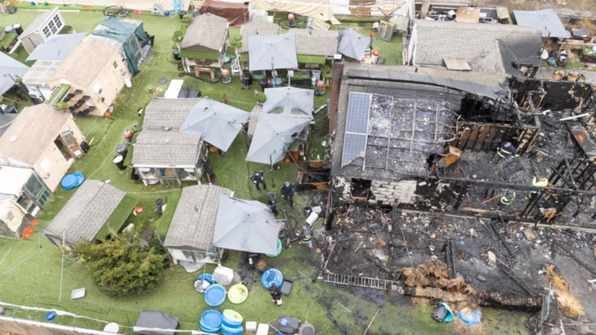 Dueño de santuario de gatos muere en incendio tratando de rescatarlos: estiman un centenar de muertos