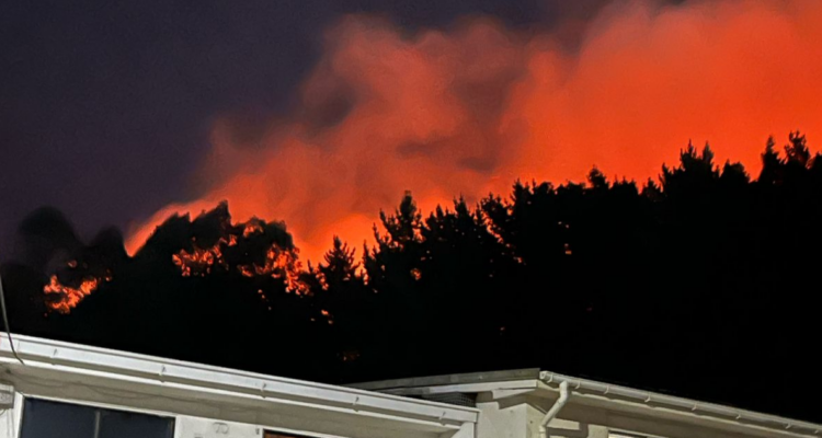 Bomberos de tres comunas combaten incendio forestal cercano a viviendas e industrias en Talcahuano