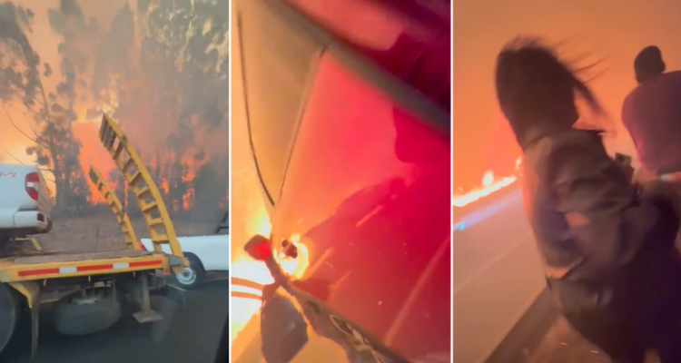 “¡Nos vamos a morir aquí!”: angustiante momento en que personas huyen por incendio forestal en Ruta 5