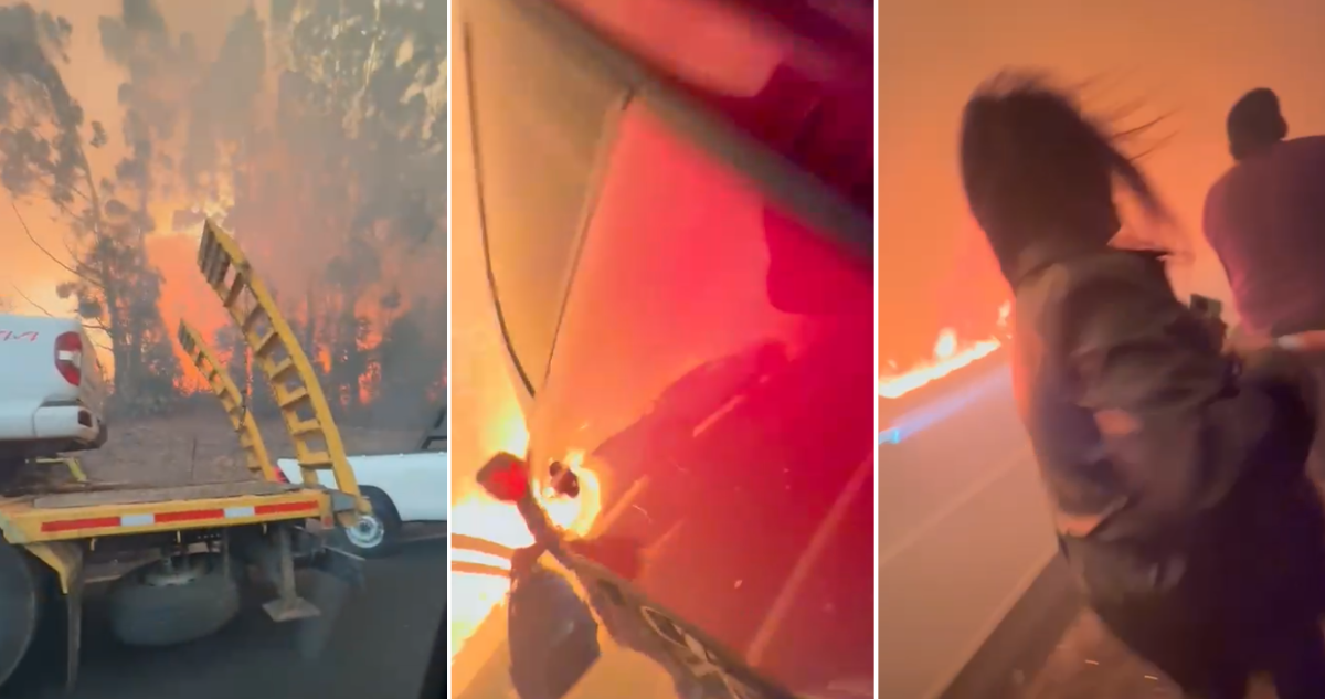 “¡Nos vamos a morir aquí!”: angustiante momento en que personas huyen por incendio forestal en Ruta 5