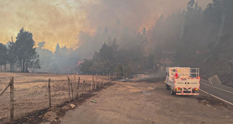 Incendio forestal en Hualqui