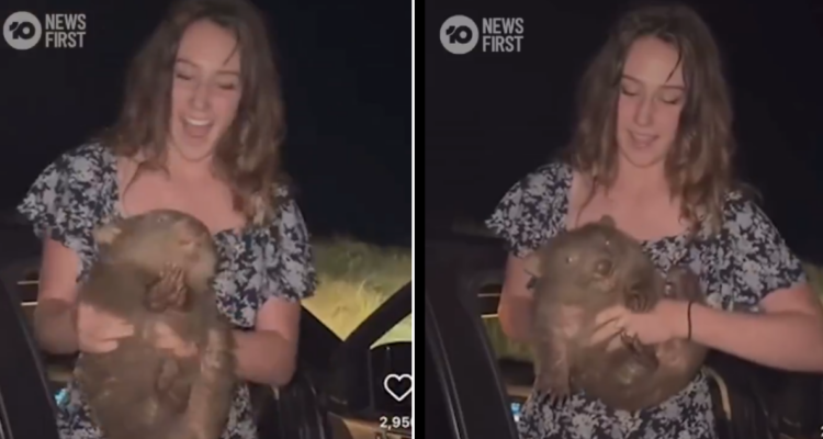 Influencer que capturó cría de wombat para un video abandonó Australia: fue repudiada por gobierno