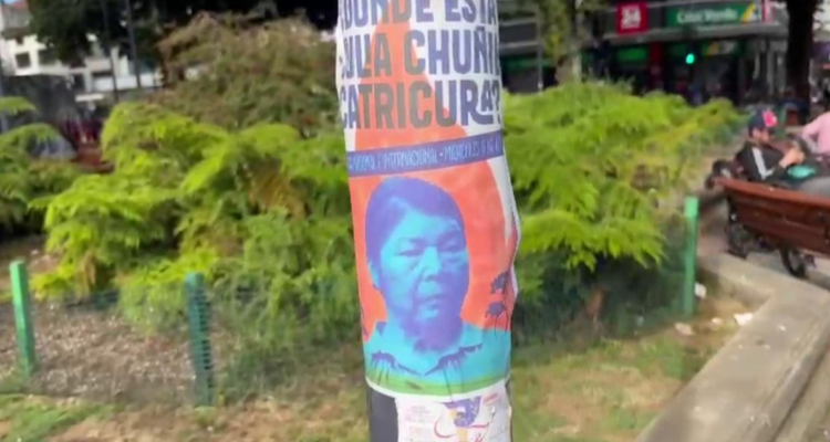 Pancarta por desaparición de Julia Chuñil y postura del Gobierno