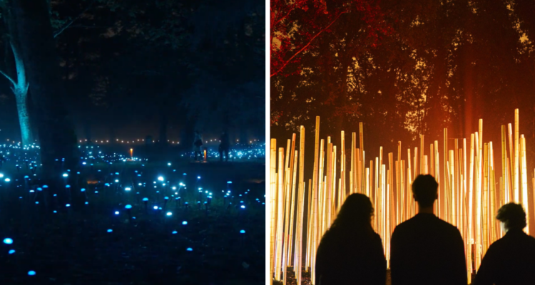 Light Cycles: el show de luces inmersivo que ha recorrido todo el mundo llega a Chile